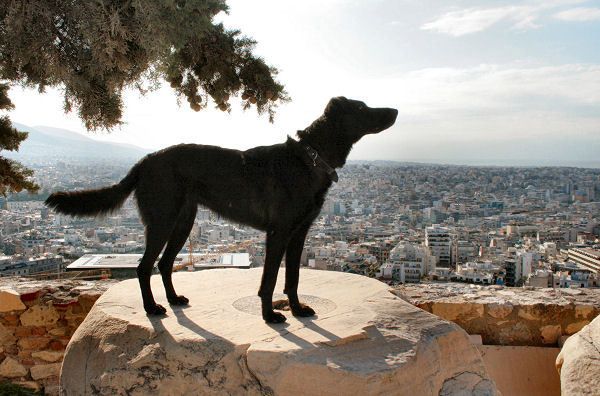 Il cane di Atene - Foto-raccontino 5