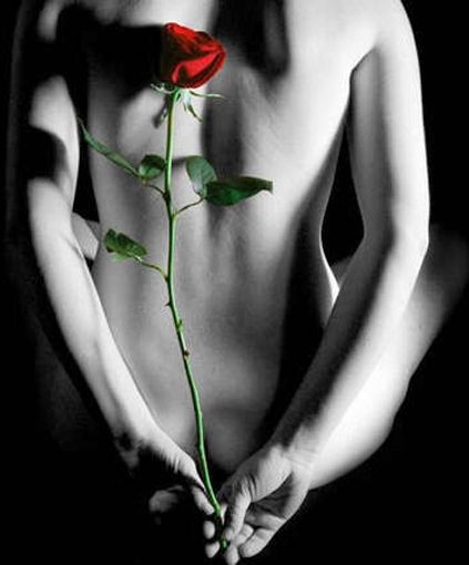 Destino di donna e rosa recisa