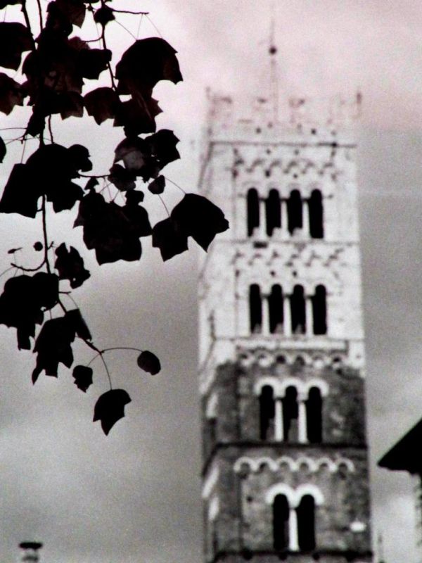 Yvonne Zffiro - Campanile e cicale