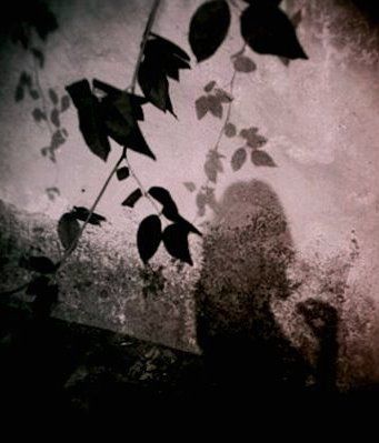 Alice Pags II - Muro custode