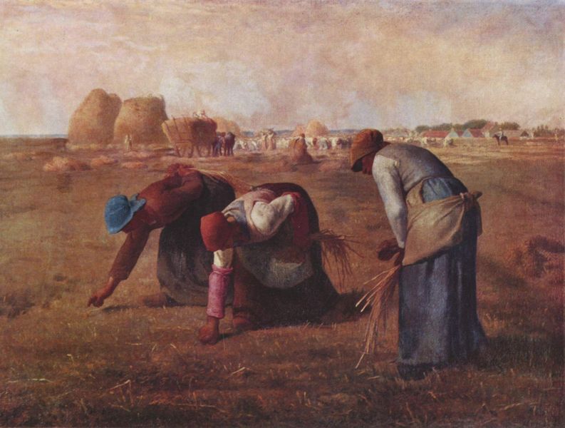 Le spigolatrici